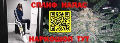 jwh Моздок