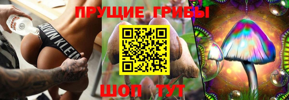 Псилоцибиновые грибы Magic Shrooms  Вход с VPN  Янаул 